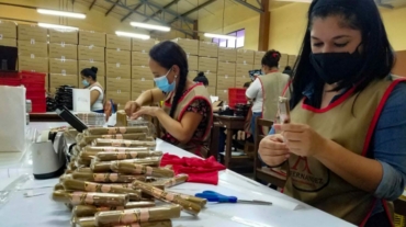 Trabajadoras del sector tabaco