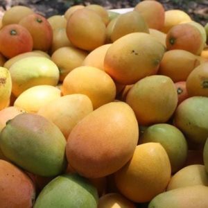 Mangos