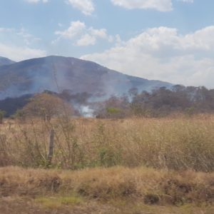 Incendios forestales