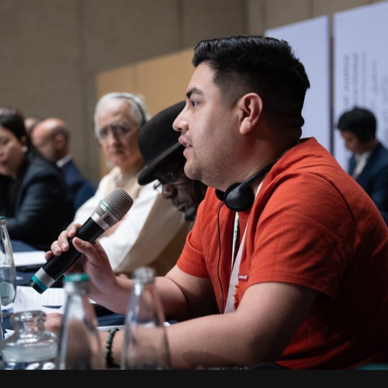 Unión Democrática Renovadora (Unamos)