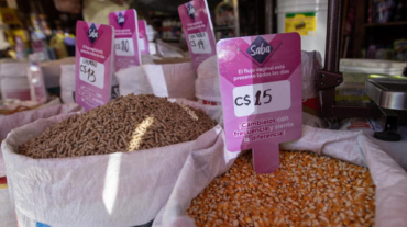 El Gobierno de Nicaragua